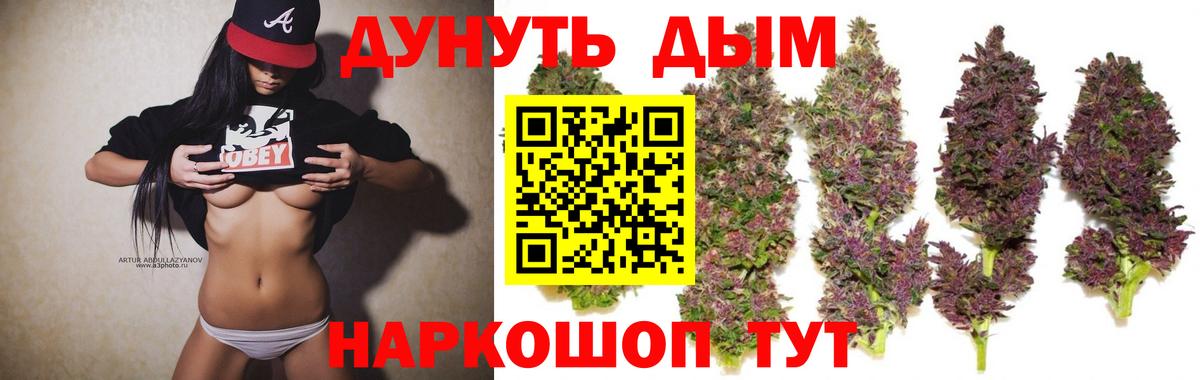 Бошки марихуана планчик  Вход с VPN  Марихуана THC 21%  Канабис тримм  Гулькевичи 